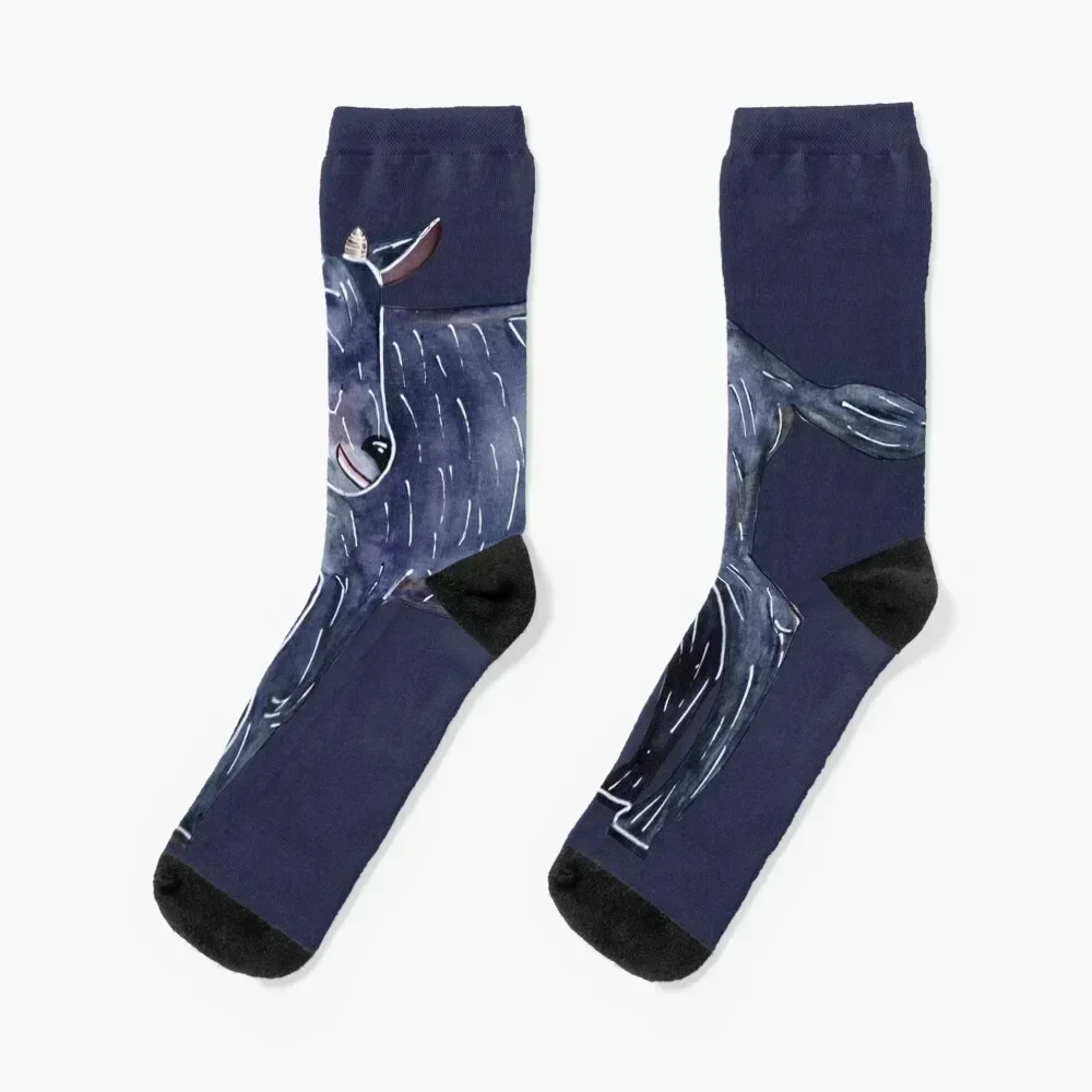

Diego-Nero Socks sports and leisure Stockings man ankle luxe Men's Socks Women's