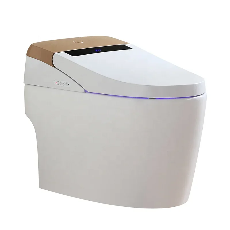 One Piece Intelligent Smart Toilet Bathroom Hot&Cold Water Cleaning Japanese Toilet Bidet