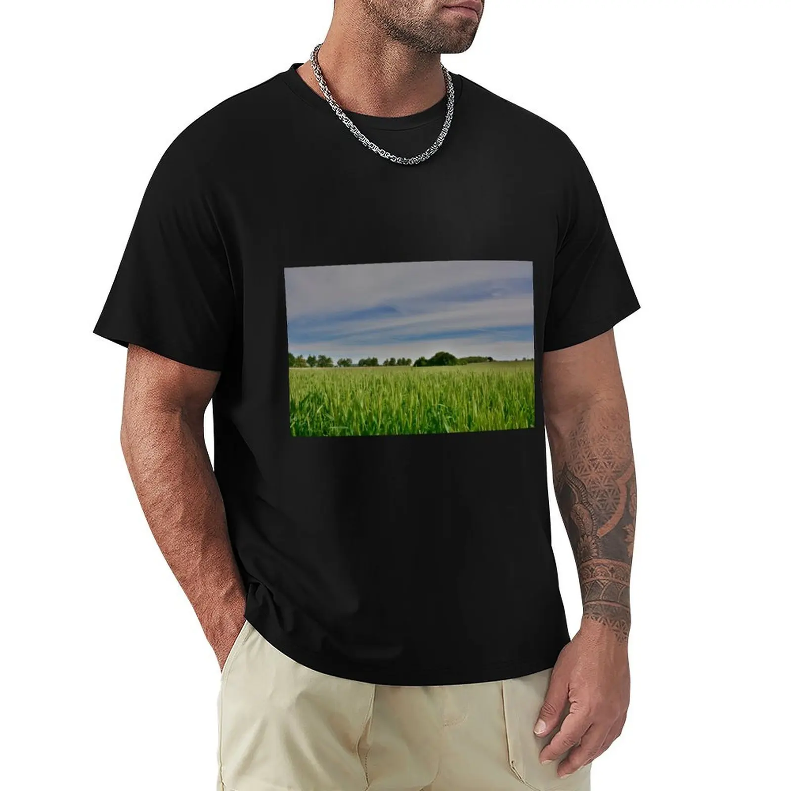 Spring Landscape Near Cividale del Friuli T-shirt new edition customs design your own plus size tops men clothes