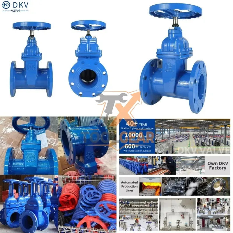 2026China*Factory* DKV OS&Y Ductile Iron Manual Gate Valve PN16 Soft Seal Flanged Cast Iron Non-Rising Stem Resilient Seated