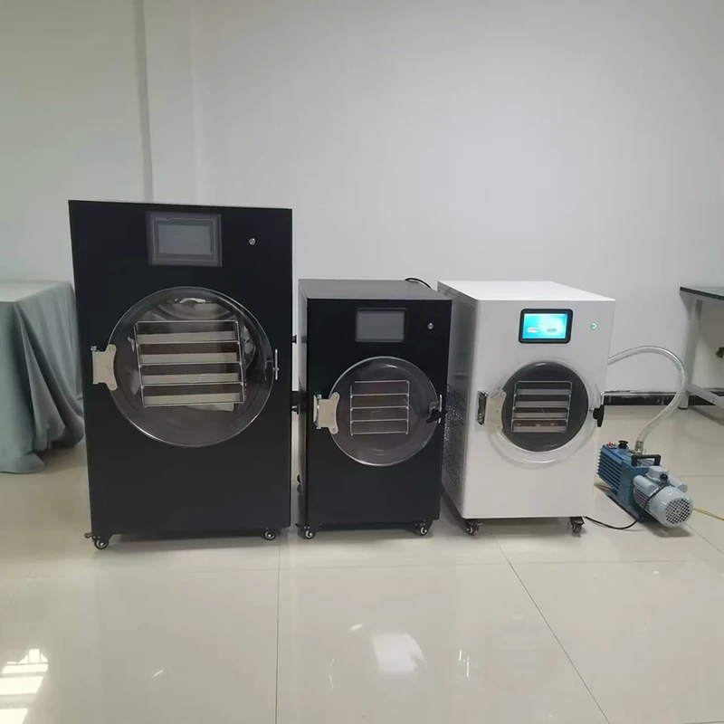 HFD 3~4 Trays Home Fruit Food Drying Vacuum Freeze Dryer Hine