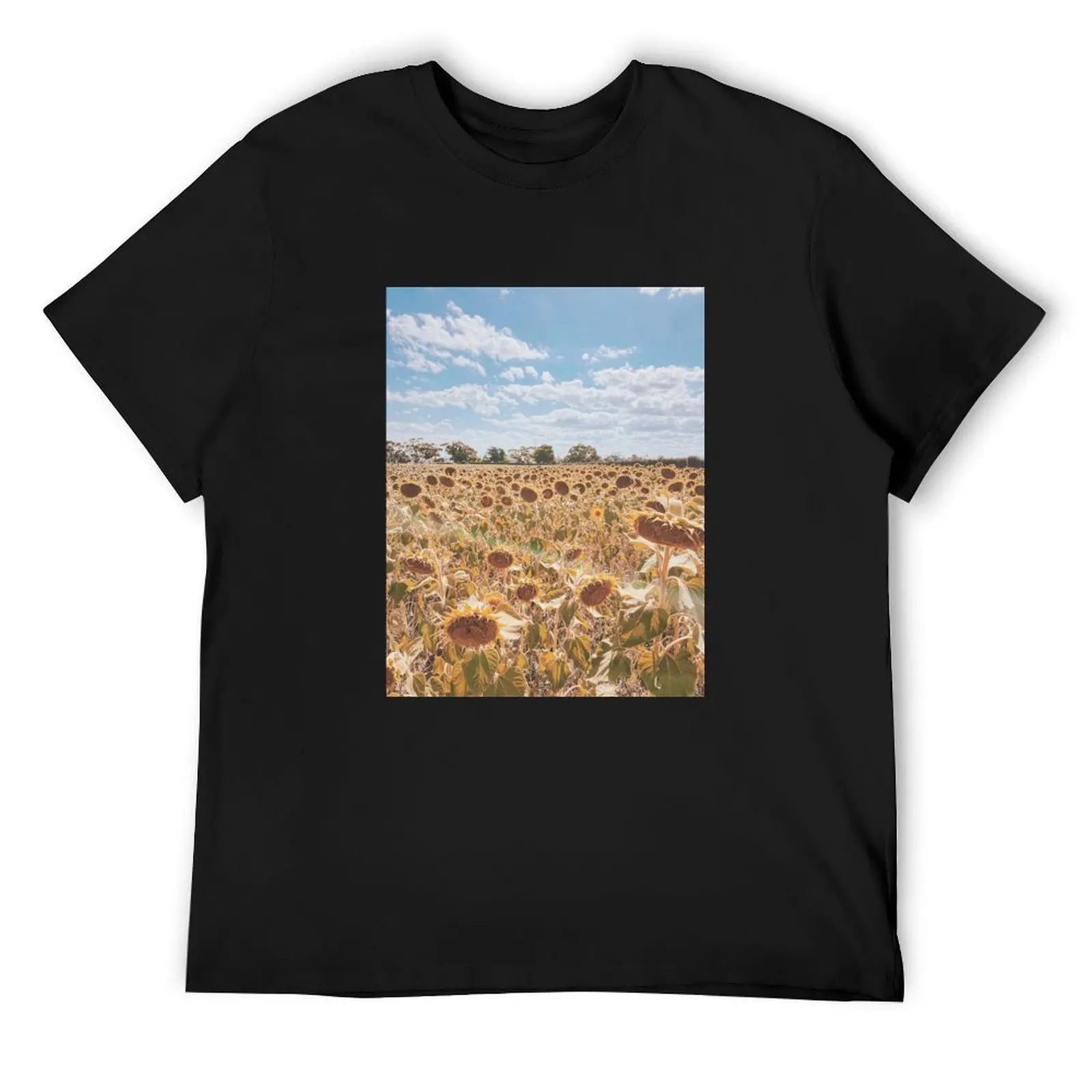 

Aesthetic vsco Sunflower Field T-Shirt custom t shirt anime clothes summer 2025 man t shirt clothing for men