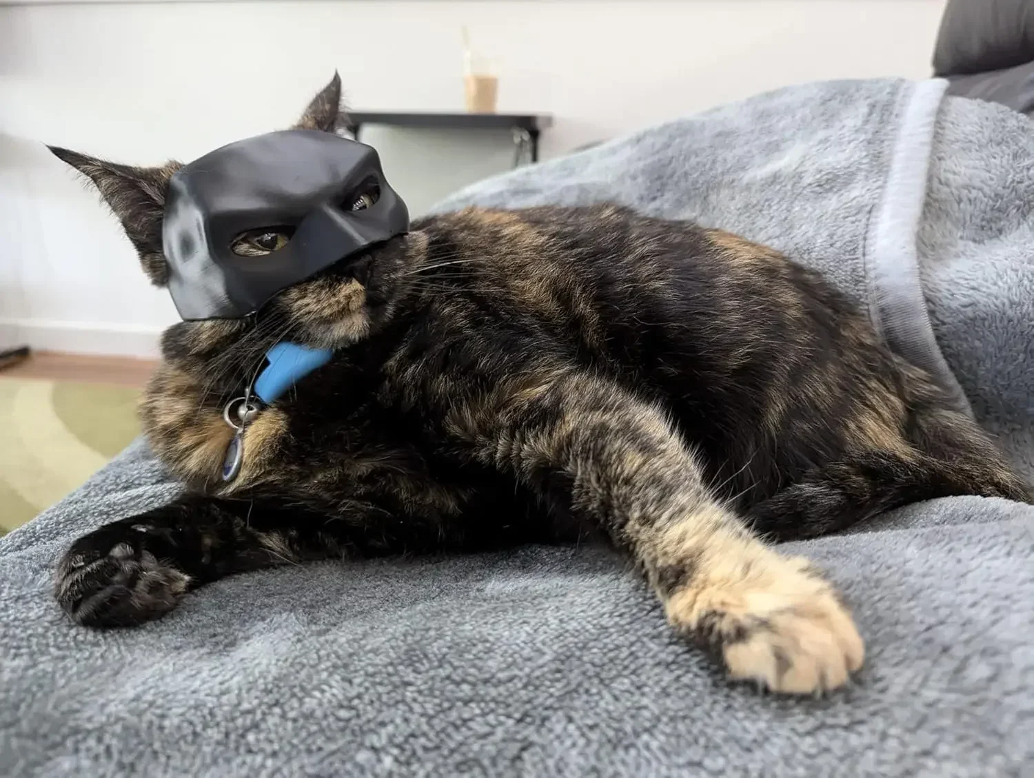 TONG Katze Fledermaus Cool Man Maske Katze Avenger Maske Matt Niedliche Fledermausmaske Superhelden Spielzeug Katze Fledermaus Haustier – Detail 2