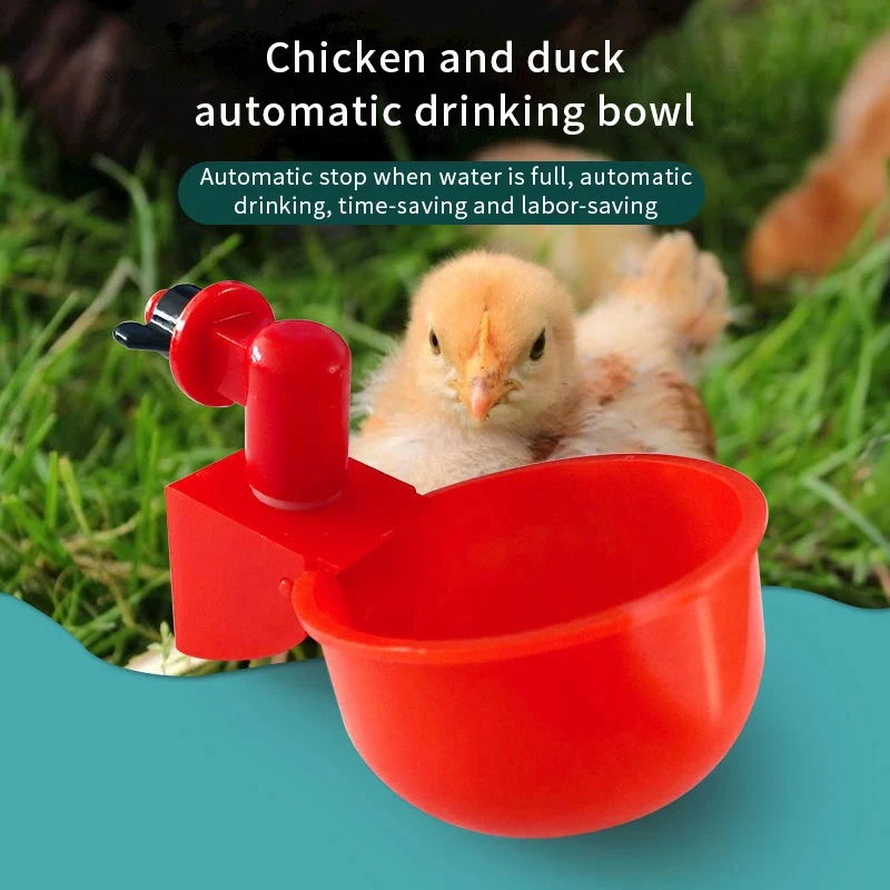 Chicken Drinking Cup Automatic Drinker Chicken Feeder Plastic Poultry Waterer Drinking Water Feeder for Chicks Duck Goose Quail