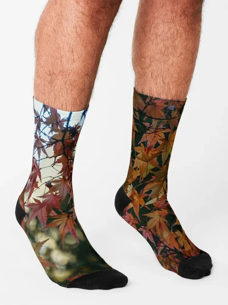 Japanese Maple Leaves Socks para homens e mulheres, essencial, outono, corrida, basquete