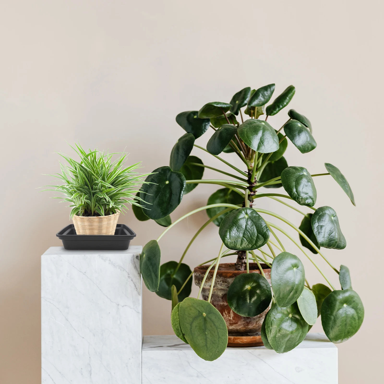 

6pcs Flower Pot Trays Square Green Pp Resin Lightweight Durable Leak Proof Reusable For Succulents Potted Plants Balcony Garden