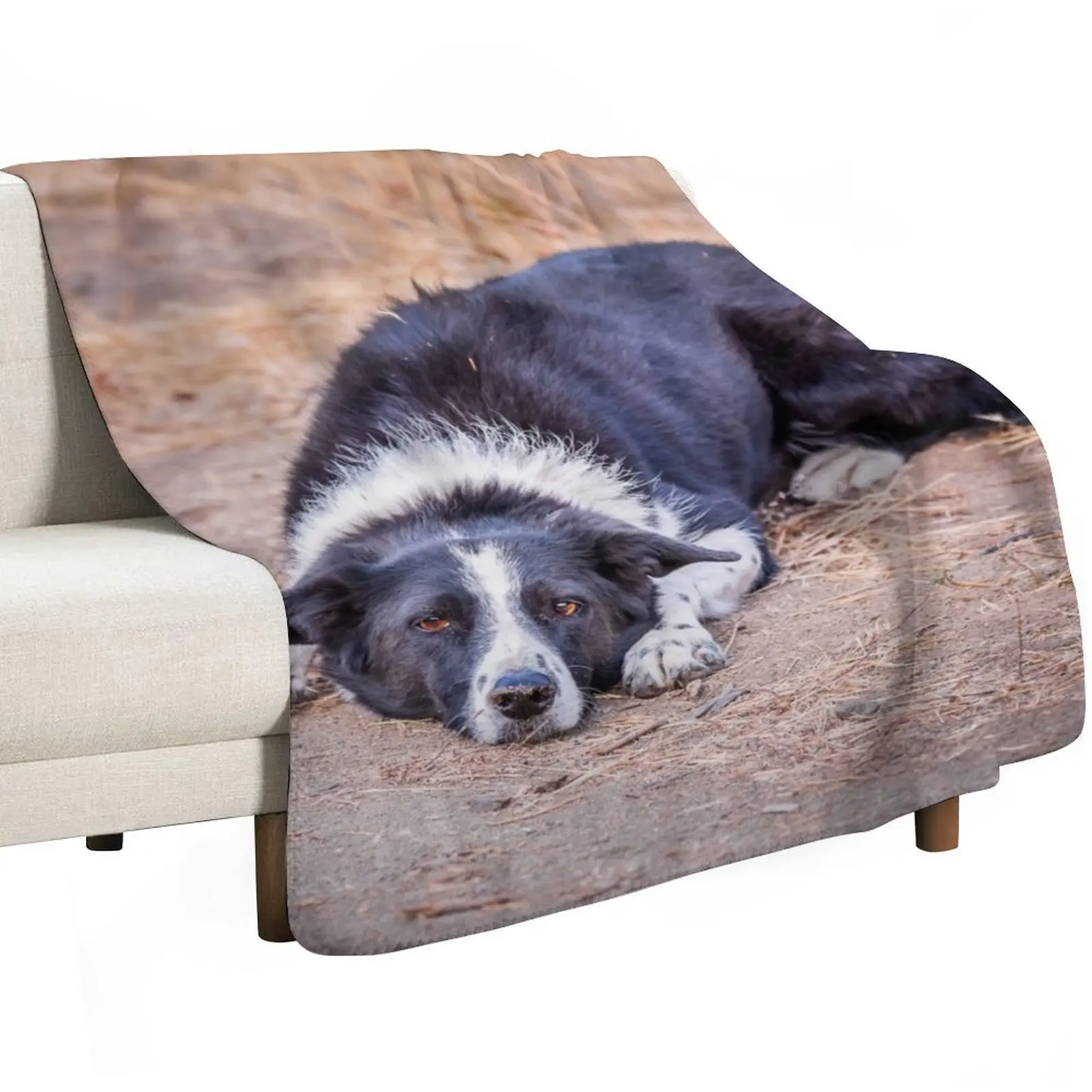 Cute Border Collie Lying on Ground Throw Blanket Personalized Gift for babies decorative Thin Thermal Decorative Throw Blankets