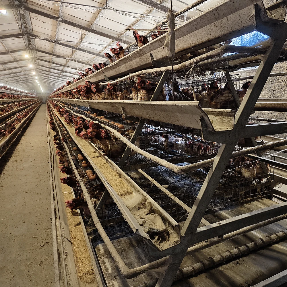 A Type Laying Hens Layer Chicken Cage Battery 96/120/128/160 Birds 3/4 Tiers Breeding Egg Layer Chicken Cage for Poultry Farm