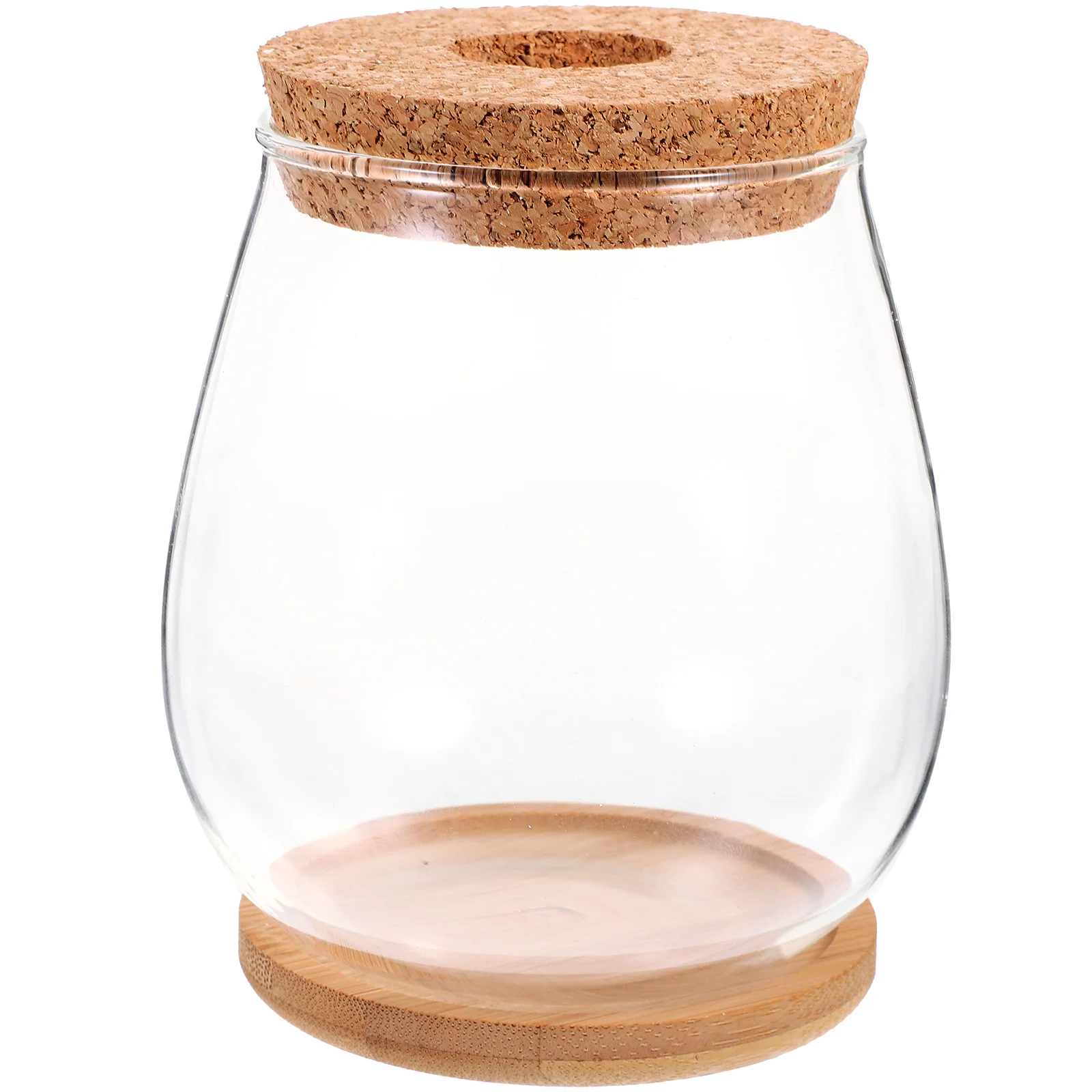 

Hydroponic Vase Glass Terrarium Container Bottle Micro Landscape Planter Mini Desktop Tank Transparent Design Bamboo Material