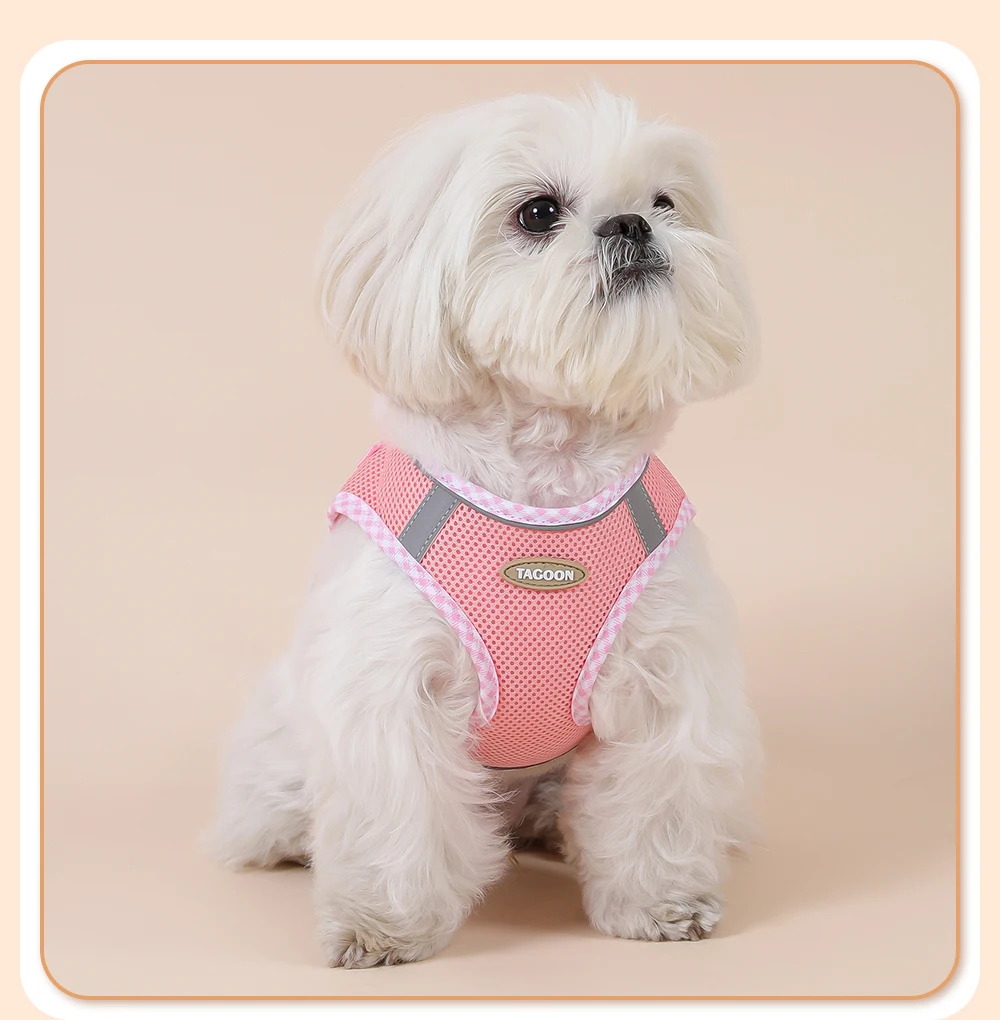 Hundegeschirr für Katzen, verstellbares Geschirr und Leine-Set für kleine Haustiere, atmungsaktive Weste für Mops, Chihuahua, Bulldogge, Hundezubehör – Detail 12