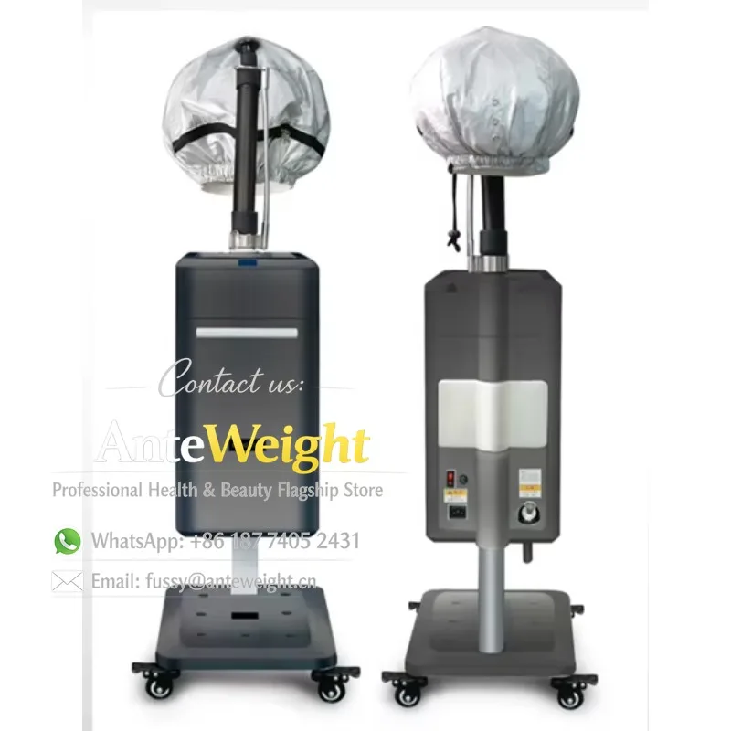 Professional Salon Hair Steamer Nano Mist Spa