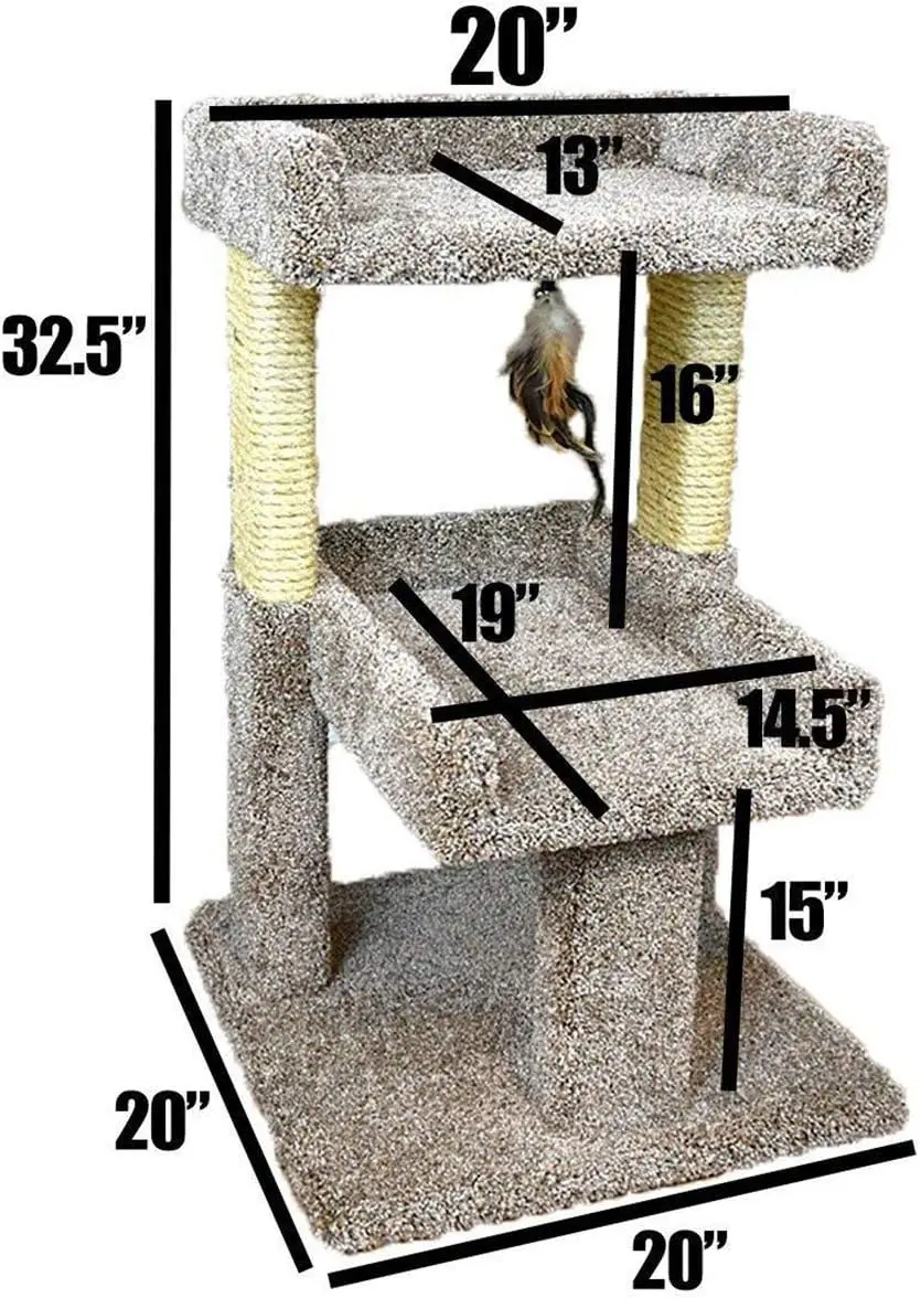 كوندوس 110215 جثم لعب القطط الكبير، كبير، محايد