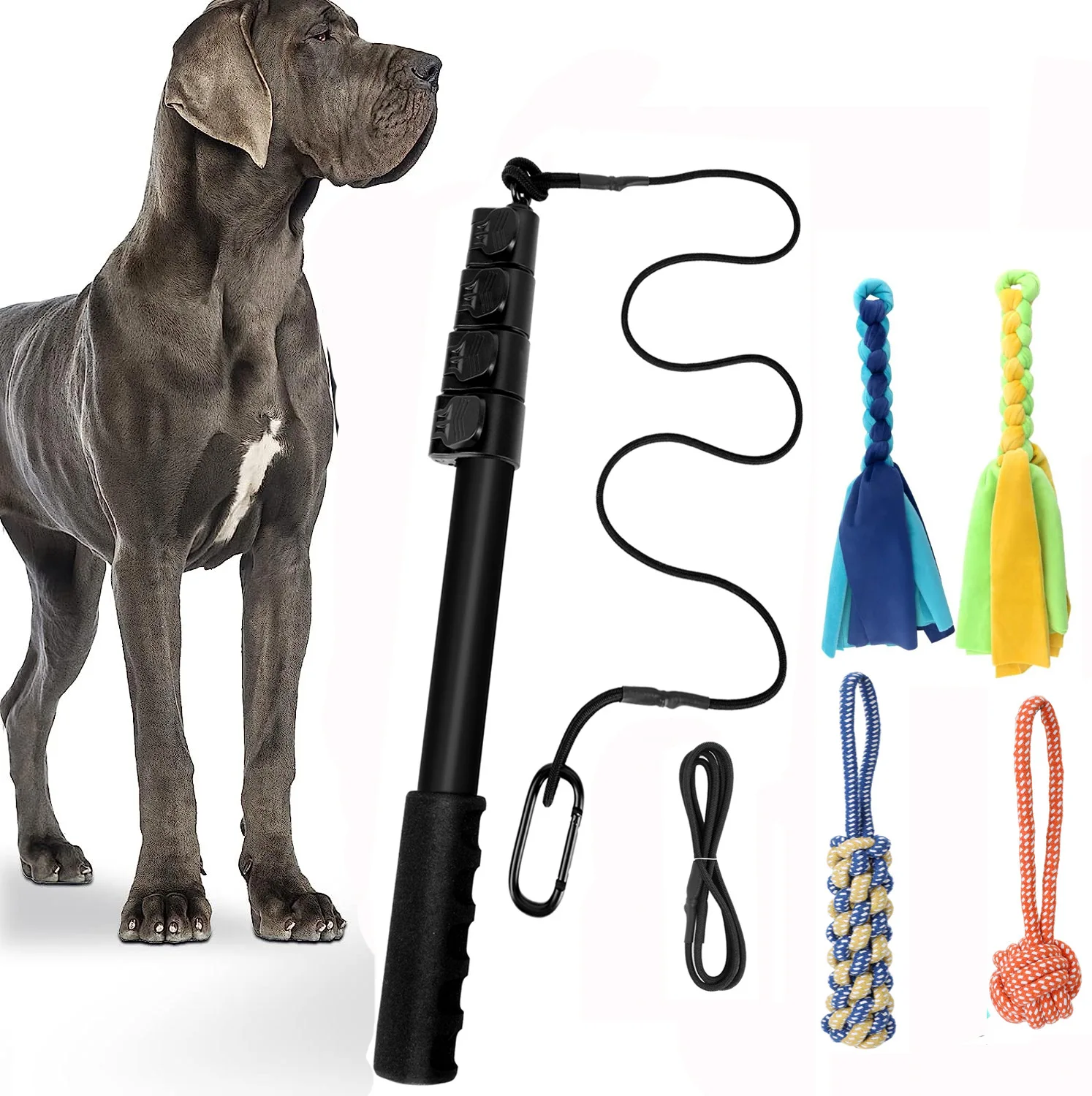 

Retractable Dog Stick and Cat Stick Interactive Pet Training Rod for Dog and Cat Pet Movement Toy