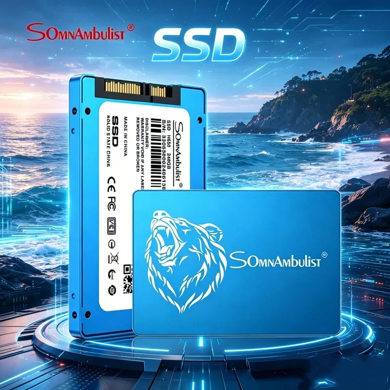 

Snappy SomnAmbulist 2.5 SATA3 SSD 64GB 120GB 128GB 240GB 256GB 480GB 512GB Native Storage Drive For Desktop Mainframe