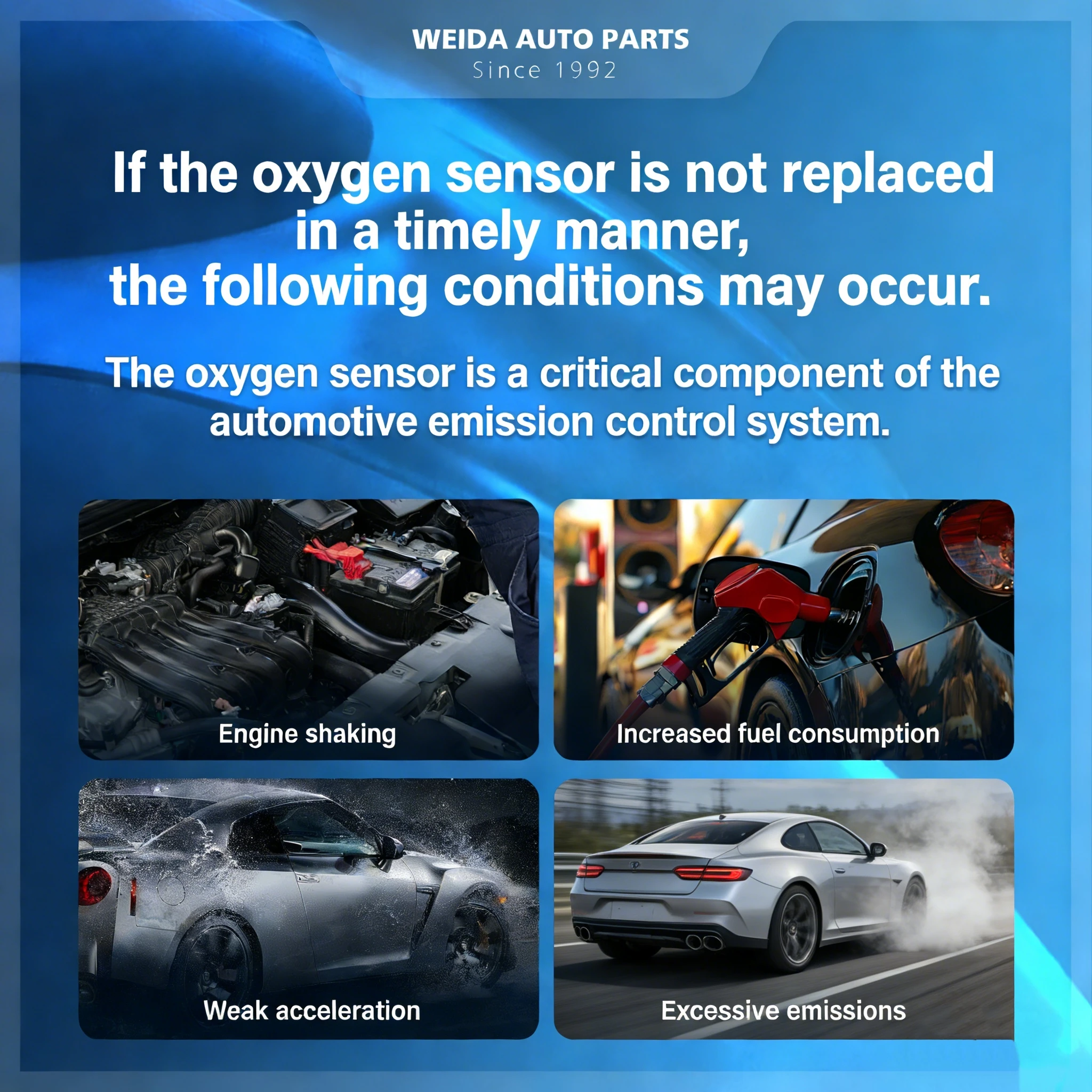 96368765 9657632980…