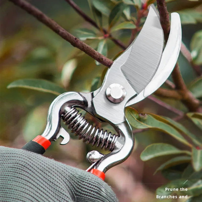 Gartenwerkzeuge: Gartenschere mit Klinge aus Kohlenstoffstahl für Bonsai, Obstbäume, Blumen und Äste – Detail 2