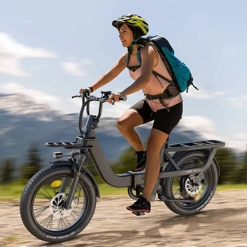 

Electric Bike Electrically Mountain Fatbike Cheap 20inch Fat Tire Ebike Folding Electric Bike Pedelec