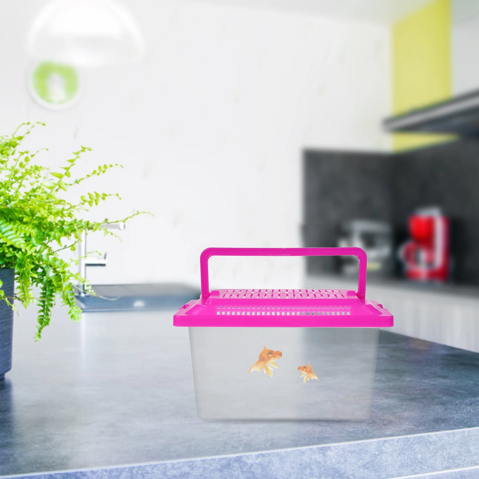 

Lightweight Pet Transport Box Plastic Aquarium Handheld Fish Tank Turtle Holder Transparent Desktop Bowl for Hamster