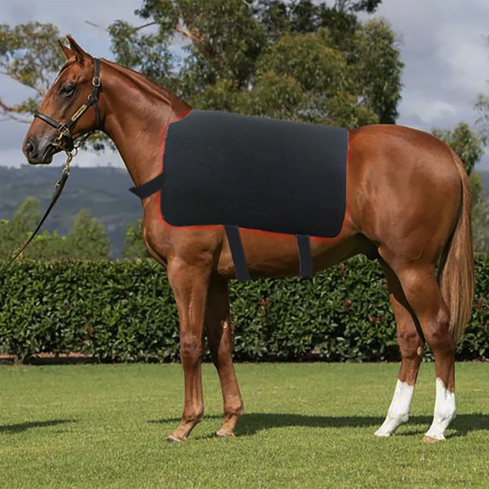 

Horse Pain Relief Red Light Therapy Mat Rug Back Pad Blanket 1304pc 660nm 850nm Led Red Light Lamp For Horse Back Pain Relief