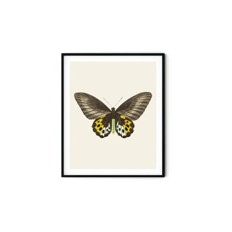 Vintage Blue Brown Green Orange Red Yellow Butterfly Minimalist Wall Art Print Canvas Painting Posters for Modern Home Decor