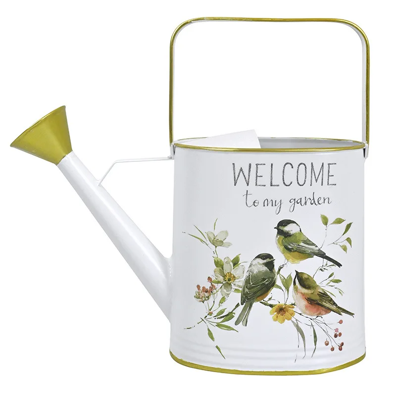 

Wrought iron watering kettle Long mouth watering pot Household high value succulent watering kettle Gardening tools Large capaci