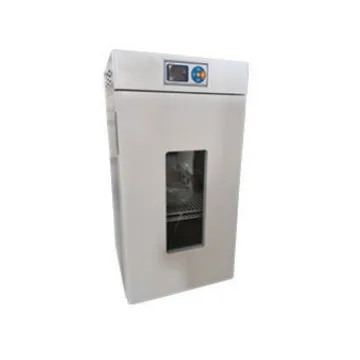 

Electric constant temperature incubator, laboratory germination and growth test storage box, stainless steel