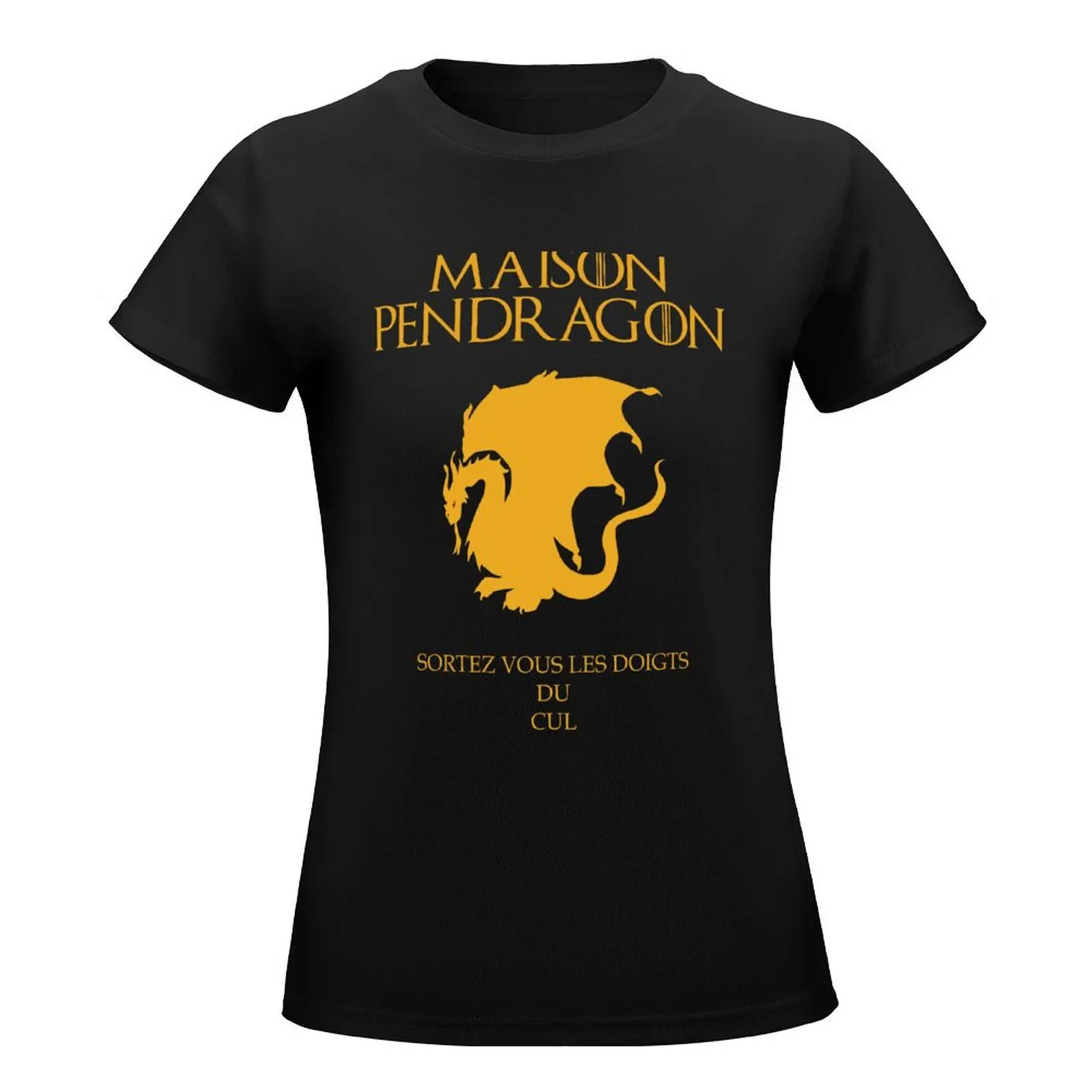 Kaamelott - House Pendragon T-Shirt customs design your own blacks sublime blanks black t-shirts for Women