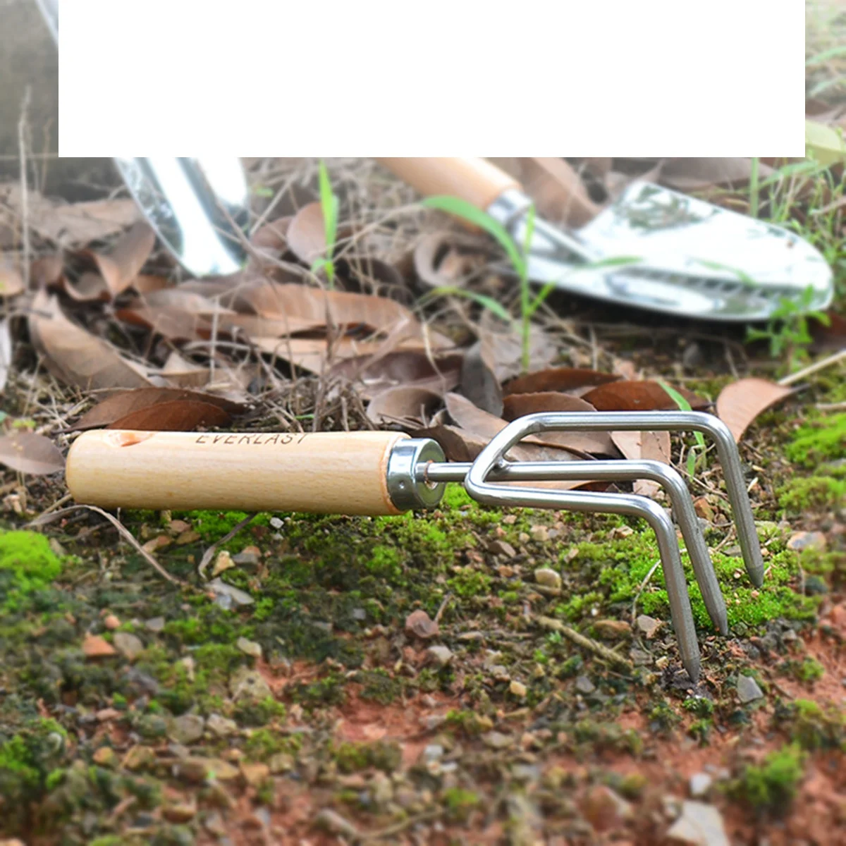 

Garden Mini Rake Small Hand Rake Stainless Steel Durable Short Wooden Handle Perfect Tool for Aerating Tough Soil