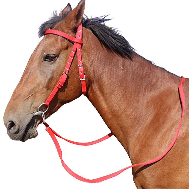 Adjustable Horse Bridle Rein Harness Headstalls Nylon Padded Brow band Headstall with Reins for Horses