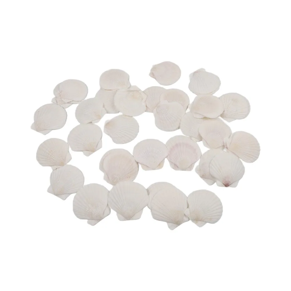 Beach Decor Shells DIY Craft Shells Handmade Gifts With Scallop Shells Thematic Decoration Ideas for versatile Craft Supplies