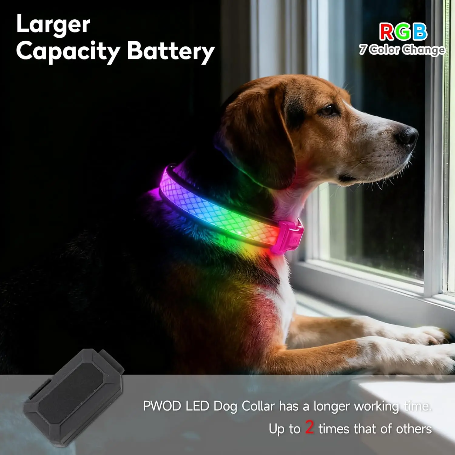 Thumbnail 2 - #48 Best Adjustable Pet Collars to Buy In 2026