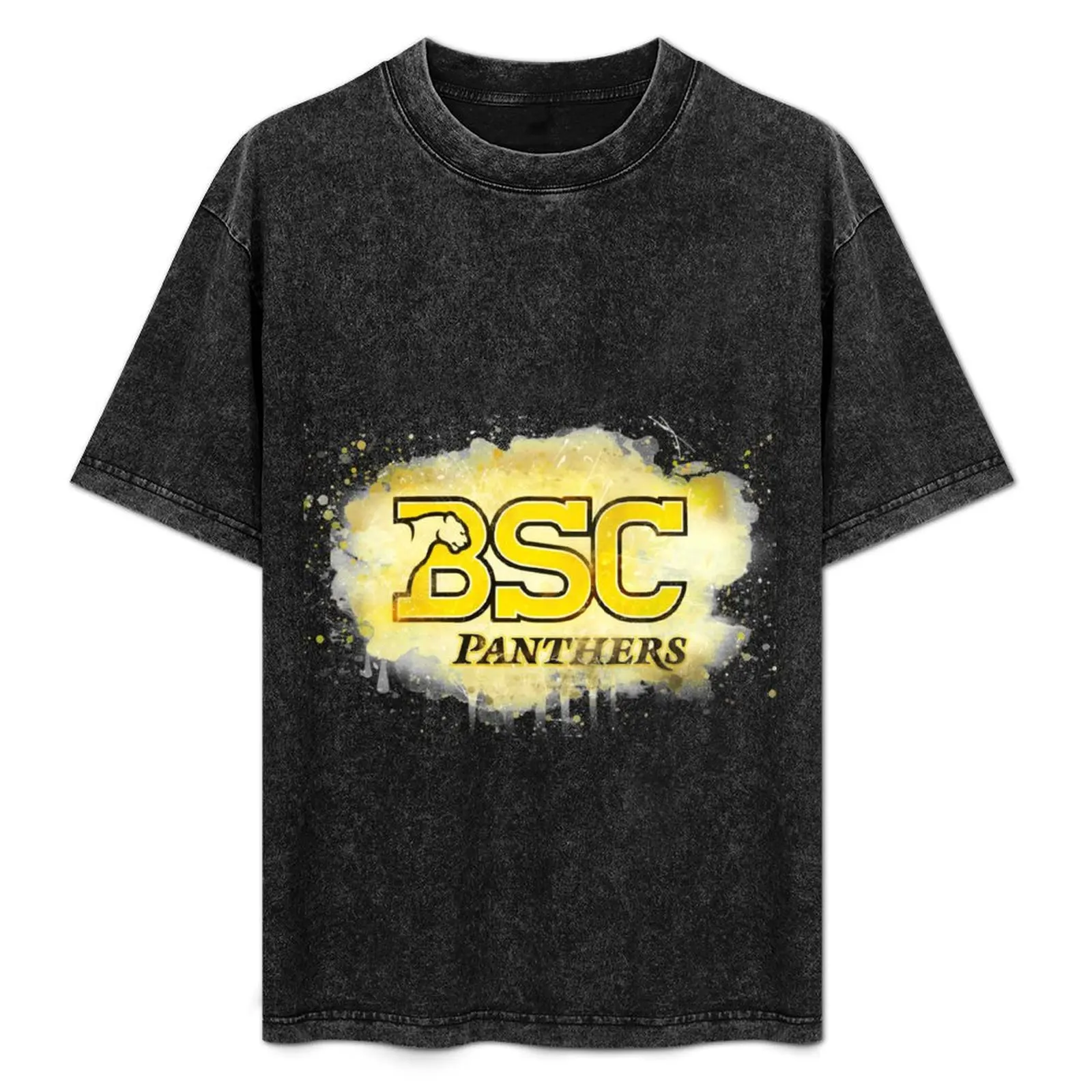 Birmingham-Southern College Rustic Watercolor Logo T-Shirt summer top rapper graphic tees oversized t shirt men