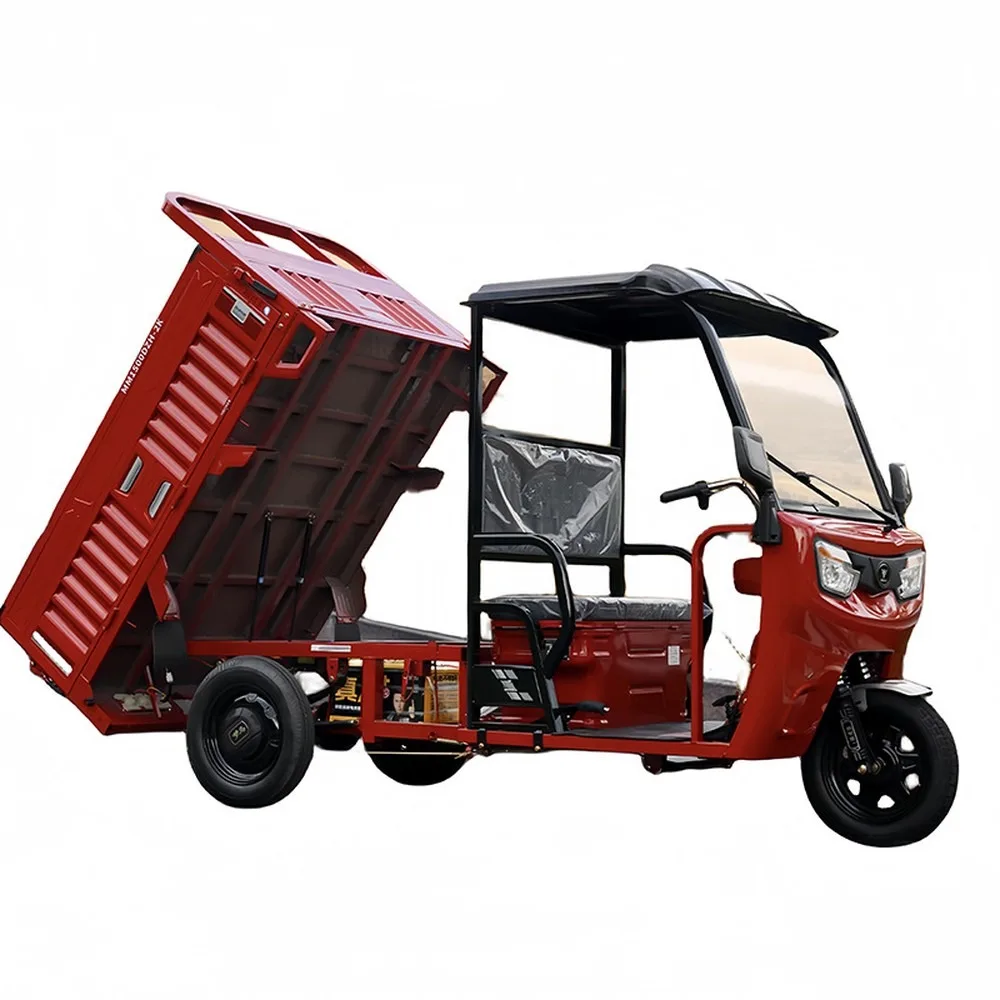 Custom Electric Tricycle with Canopy, Heavy-Duty Cargo Trike for Hill Climb, Household Freight Carrier, Simple Roofed