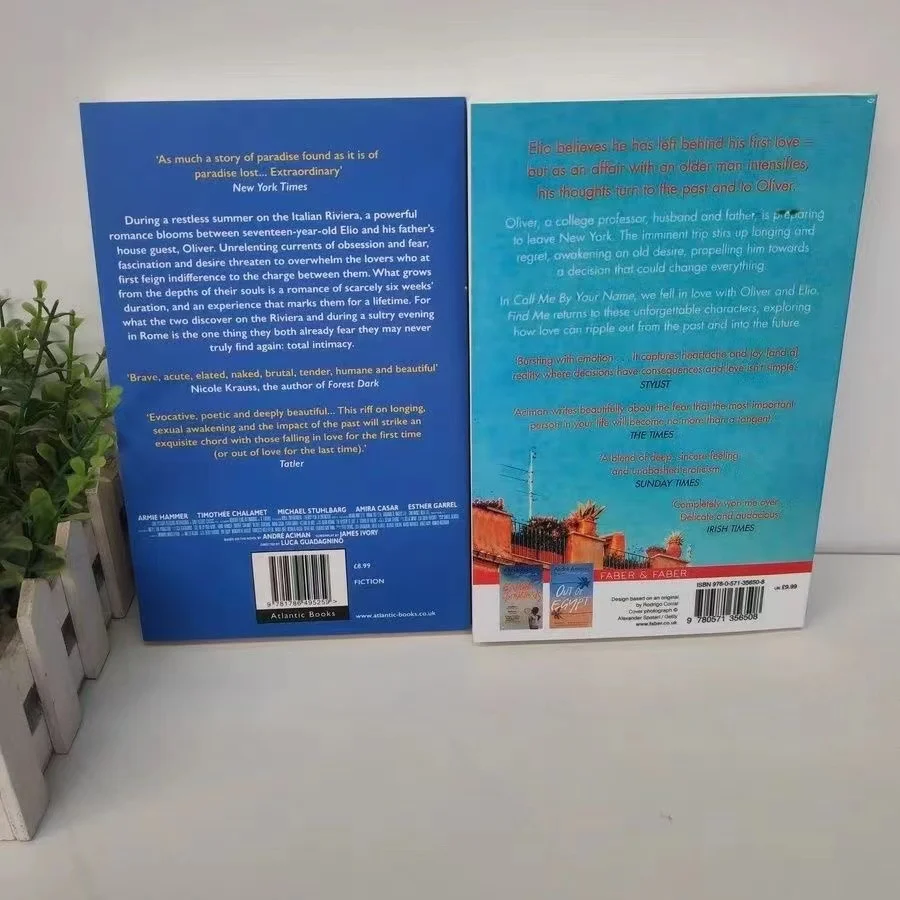 Рисунок 4 - Книга с 2 книгами