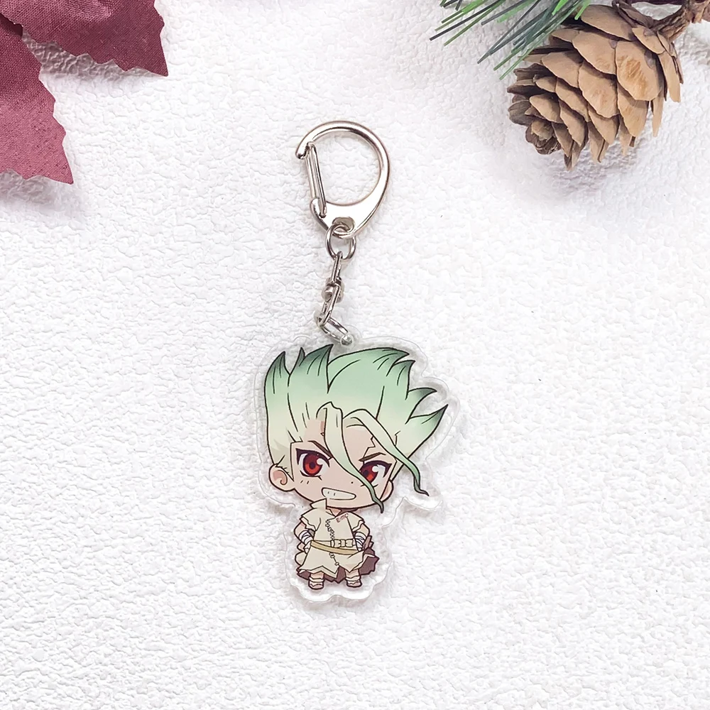 1/6Pcs Anime Figures Dr.STONE Car Keychain Accessories Acrylic Cute Charms Pendant For Bag Funny Key Holder Backpack Decoration