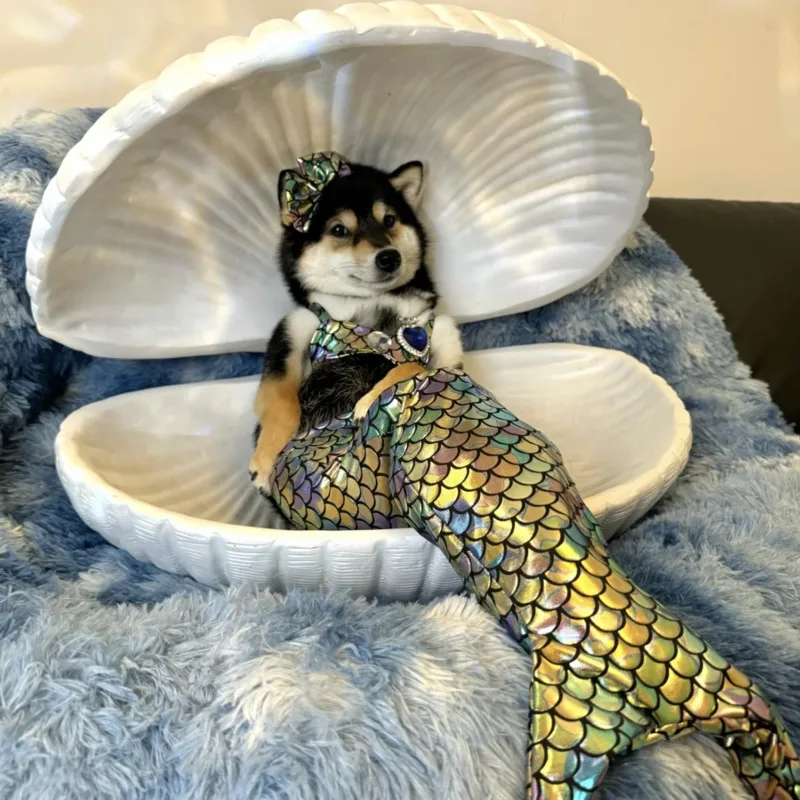 人魚の形をしたペットの服,猫の服,写真アクセサリー,かわいいビキニ,犬,楽しい装飾,クリスマスプレゼント,スカート,夏