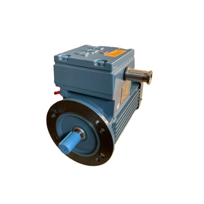 Series 30Kw 380V 50/60Hz IE3 Efficient Three-Phase Asynchronous Electric Cast Iron AC Motor