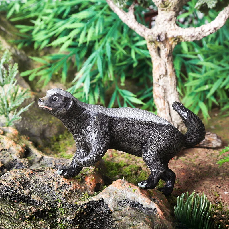 Oenux Simulation Neue Wilde Tiere Figuren Honig Dachs Mellivora Capensis Modell Action-figuren Kinder Bildung Geschenk Spielzeug – Detail 11
