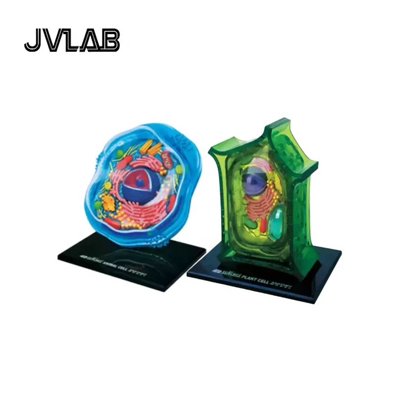 

4D Cell Model DIY Assembly Kit Animal Plant Cell Science STEM Toy Hands On Biology Learning Educational Gift Kids ​JVLAB​