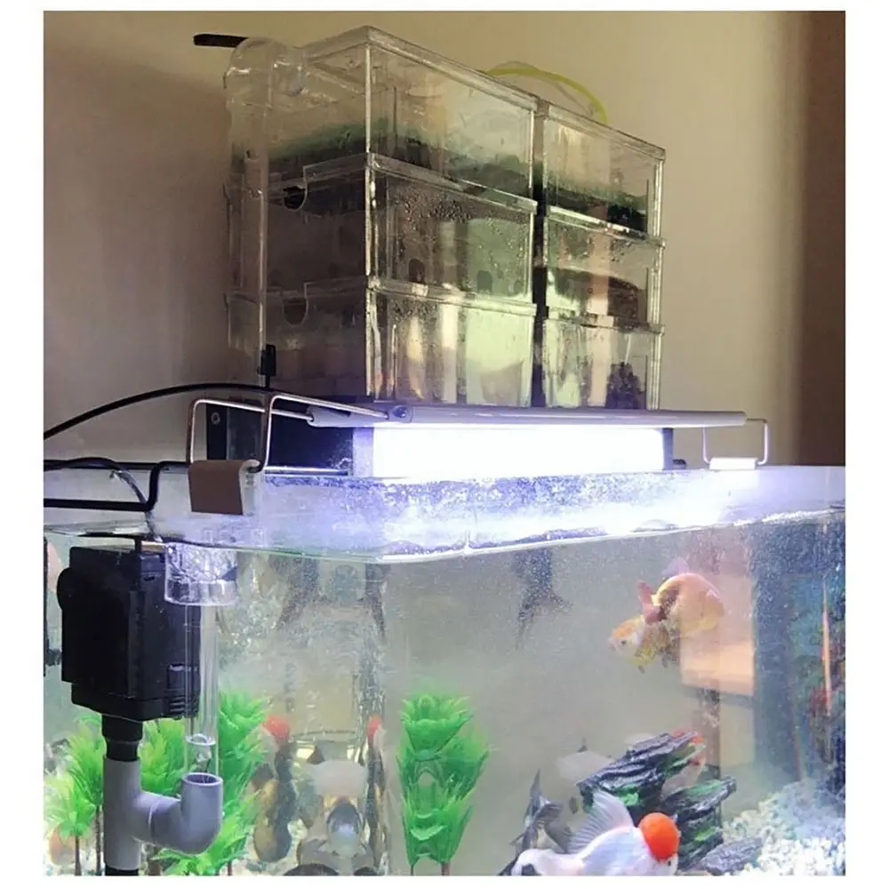 1Pcs New Clear Tran…