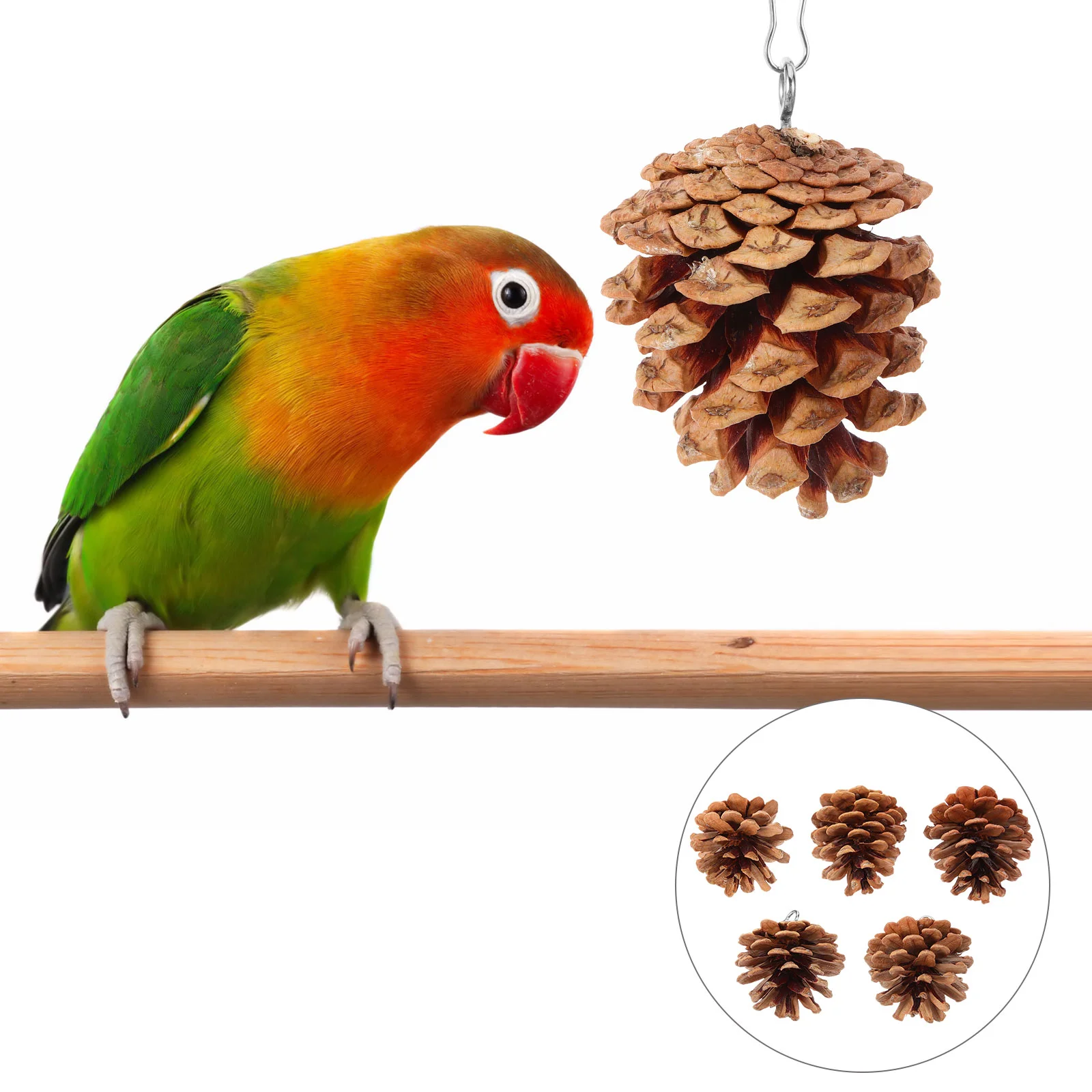 10pcs Parrot Chewing Toys Hanging Foraging Toys Parrot Tearing Pine Cone pine cone toy bird biting toy