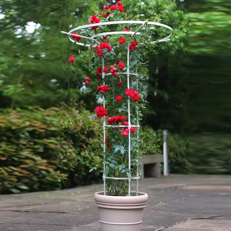 

CYMushroom head umbrella balcony garden courtyard frame rose climbing pergola plant bracket balcony garden ornament