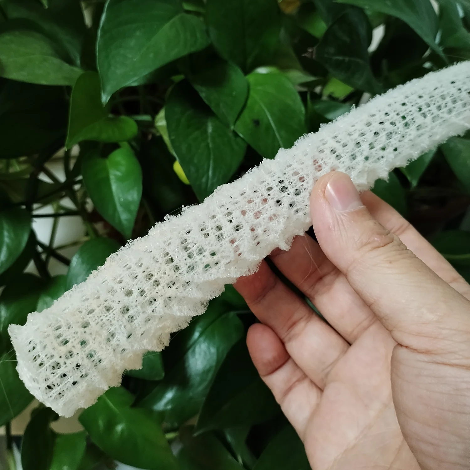 1 PC Sea Porifera Sponge, Euplectella Shell Ocean Creatures Venus Flower Basket Conch CollectionAquarium Decoration Landscaping