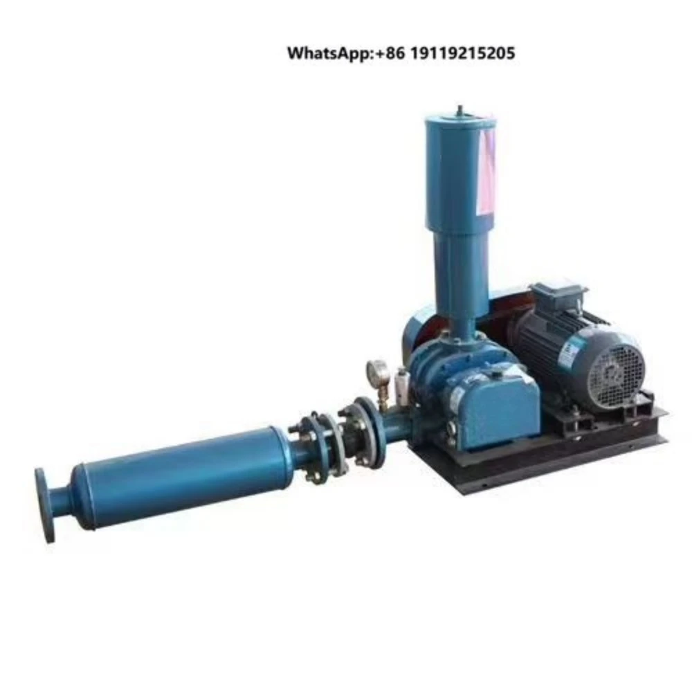Hot Selling Electric Roots Blower Air Blower for Industrial and Transport Oxygen Supply