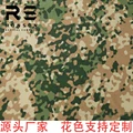 Netherlands camo