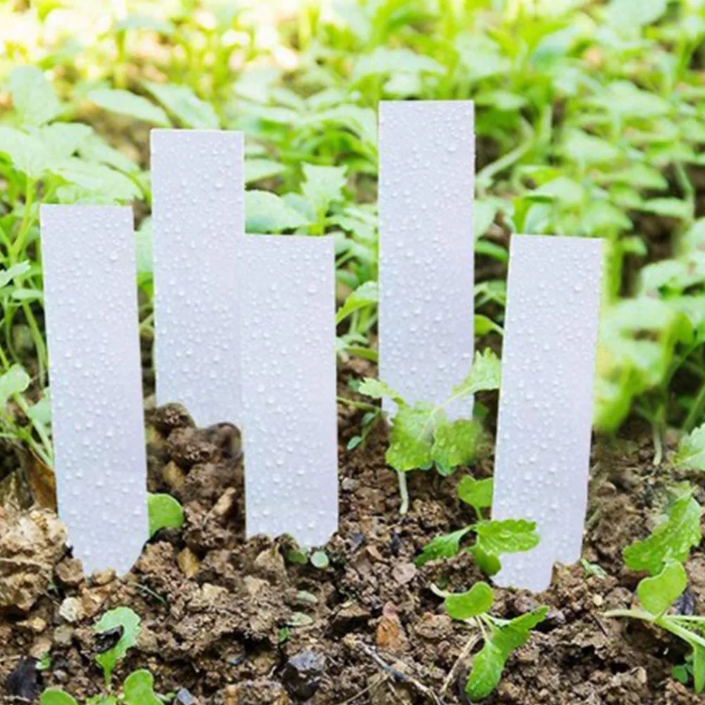 

AB33-Plant Tags,Plastic Plant Nursery Garden Labels Pot Marker Garden Stake Tags(1000 Pcs,White)