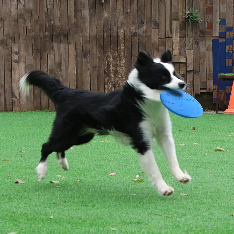 Hundespielzeug Weiche Silikon-Flugscheibe Langlebige Bissresistente Mehrfarbige Frisbee Welpen Outdoor Interaktives Trainingszubehör – Detail 3