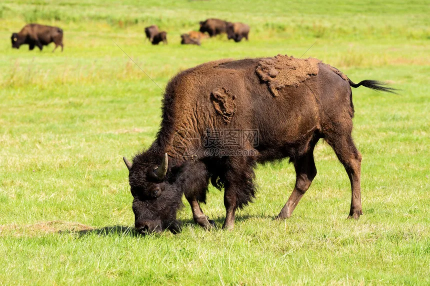

Металлические улучшенные и модифицированные фиксированные тяги шасси для радиоуправляемых машин MJX 1/12 H12Y/H12Y+ - точная совместимость, повышение качества