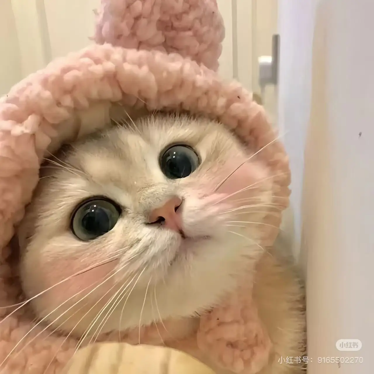 

12D HIFU TT MPTSTL machine with 10 cartridges and 3 handles