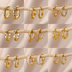 Elegant Hoops Earrings For Women Gold Color Snake Zircon Hoop Jewelry Piercing Ear Stainless Steel Cute Anniversary Gift Aretes